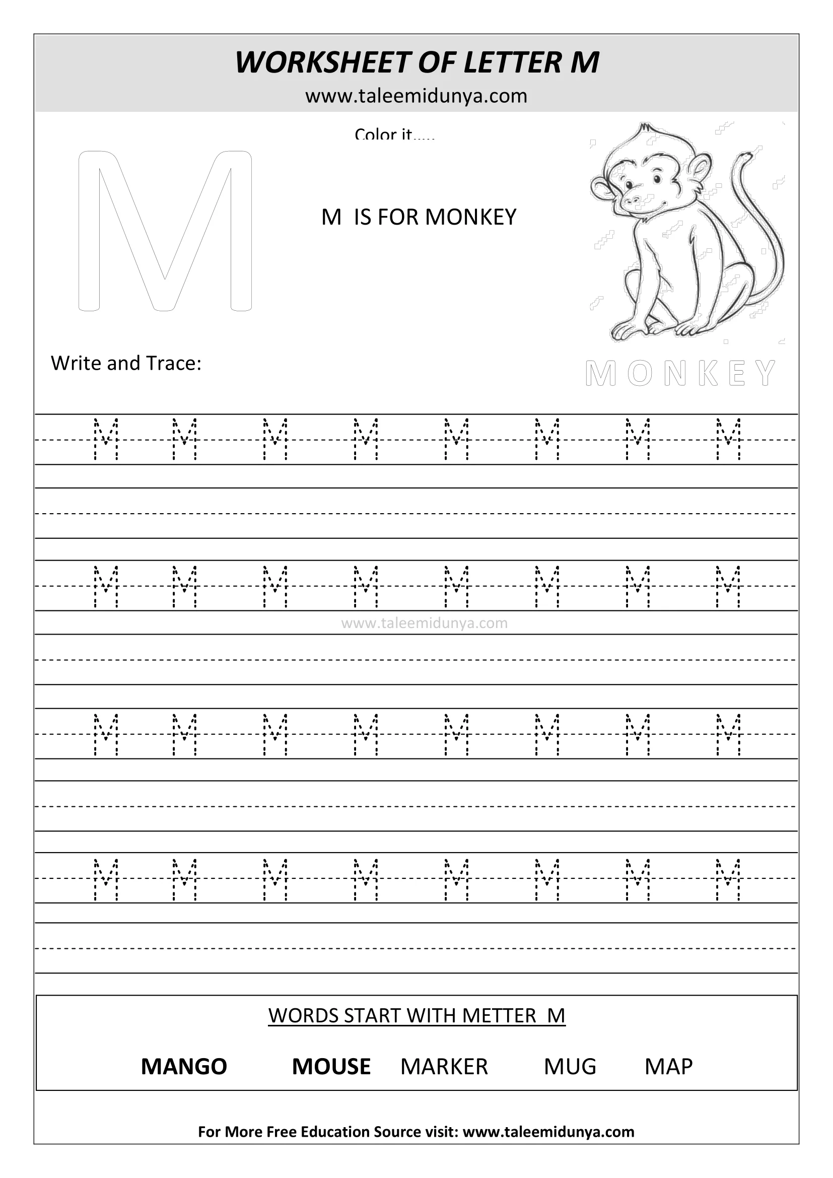 worksheet M